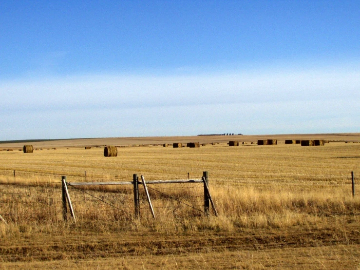 hay bales in a field that is brown