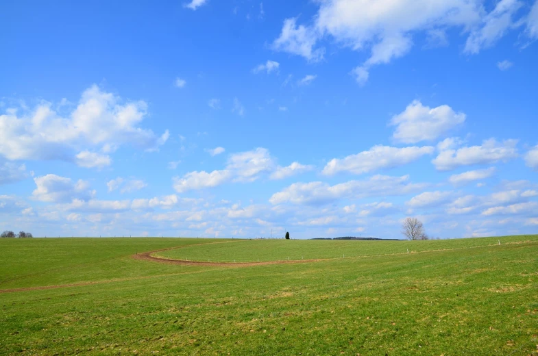 people walking on a grassy field under a blue sky