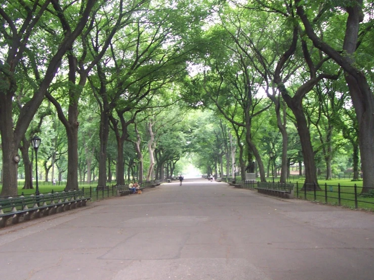 an empty park street is lined with benches