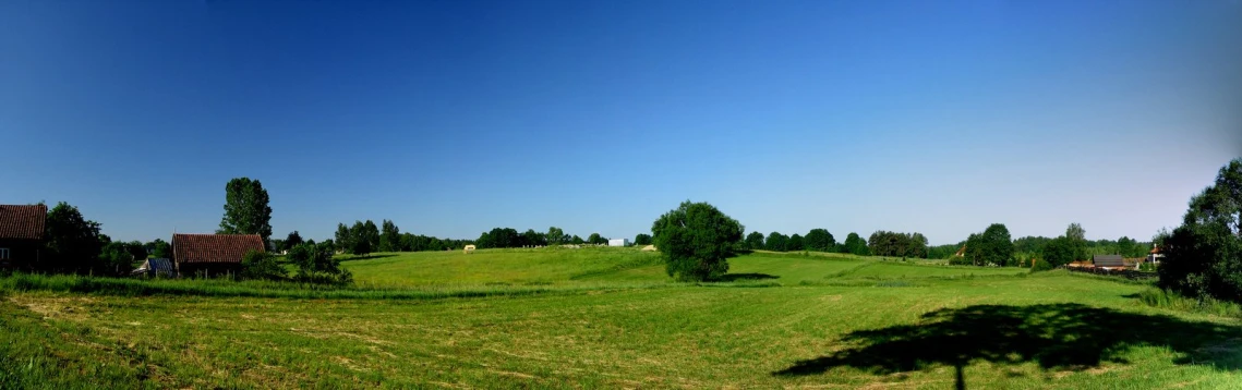 a lush green field and buildings in the background