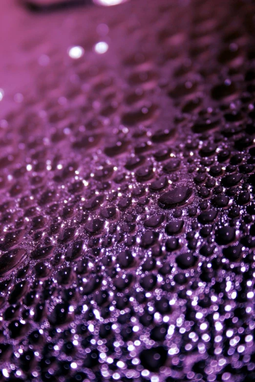 the background of sparkling drops of water are purple