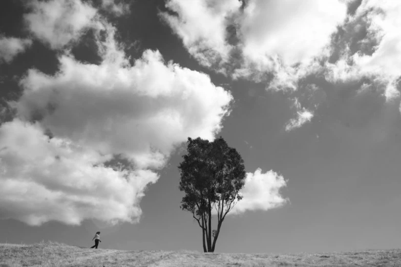 man with umbrella in open field by tree