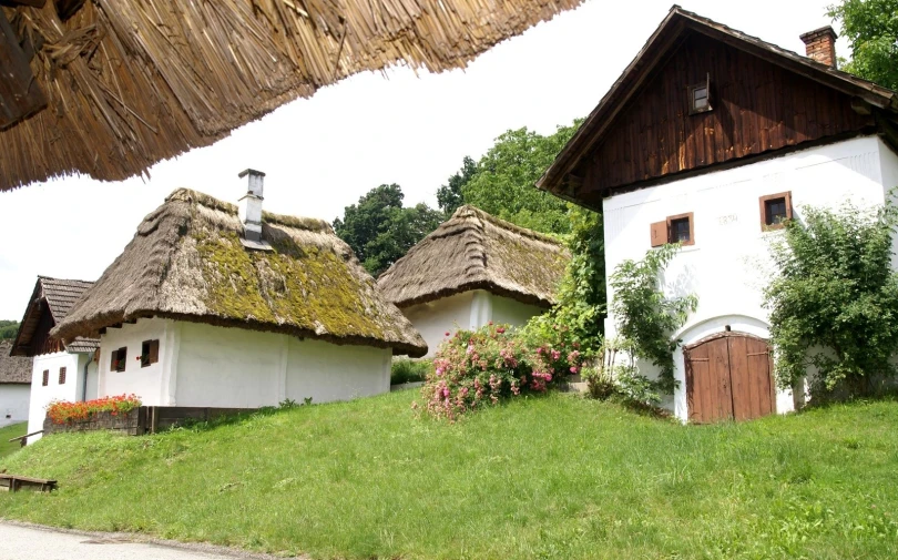 a lawn is in front of two white buildings with a green roof