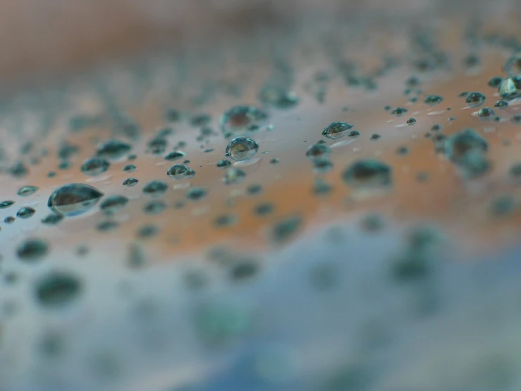 the drops of water are on the surface