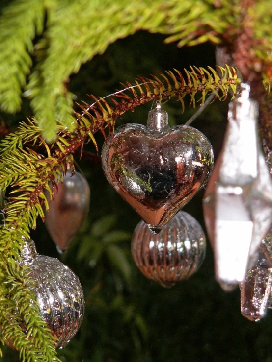 three silver and brown ornaments are hanging from a tree