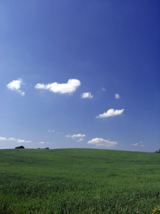 a field with a lone giraffe standing in the distance