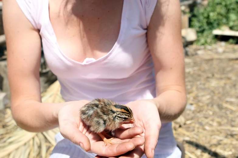 a woman holding small birds in her hands