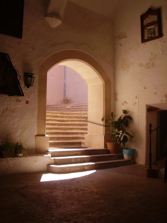 a stairway that has some plants on it