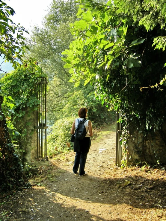 a person on a trail that has trees in the background