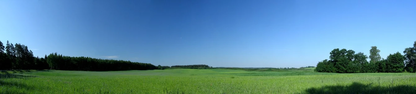 a field that has trees in the background