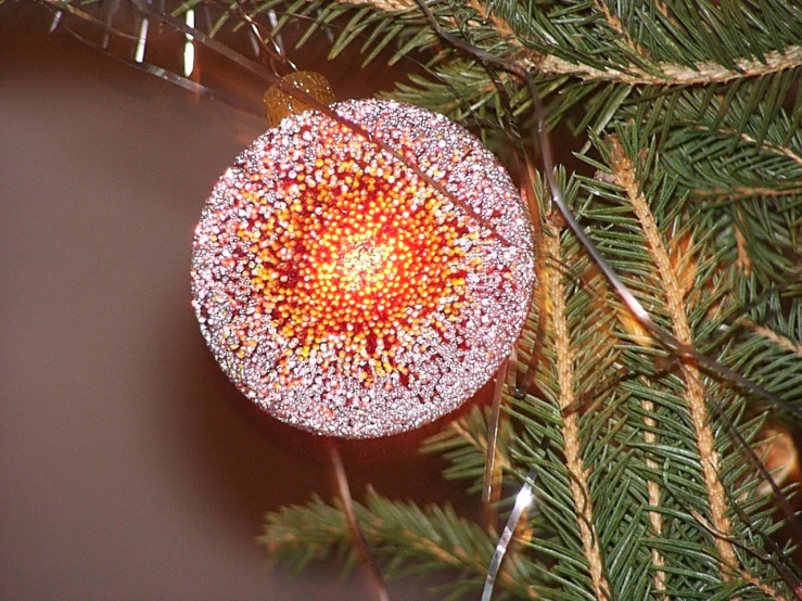 an ornament hanging on a pine nch