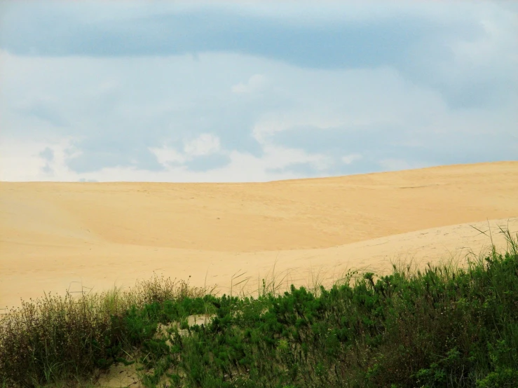 a very pretty giraffe standing in the middle of a dirt field