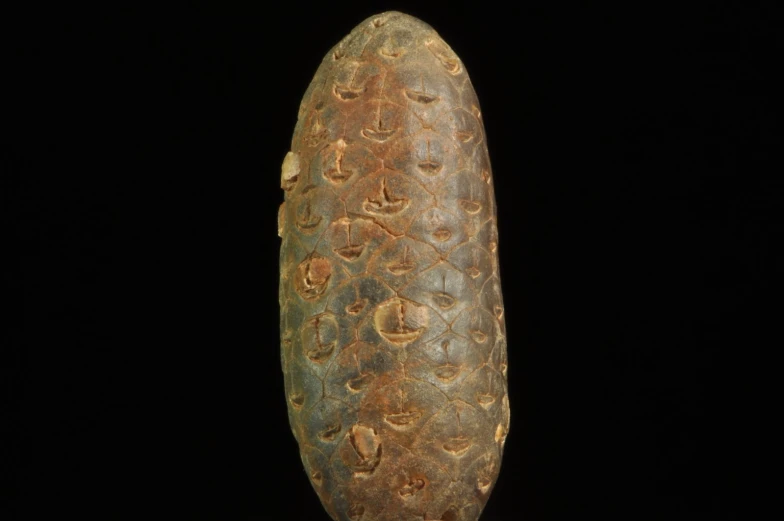 a very tall decorative object hanging on a dark wall