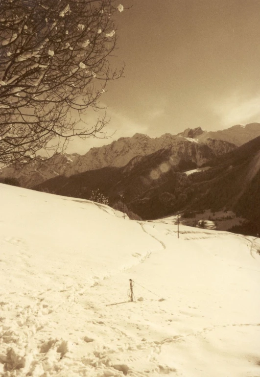 a person on skis walks up a hill