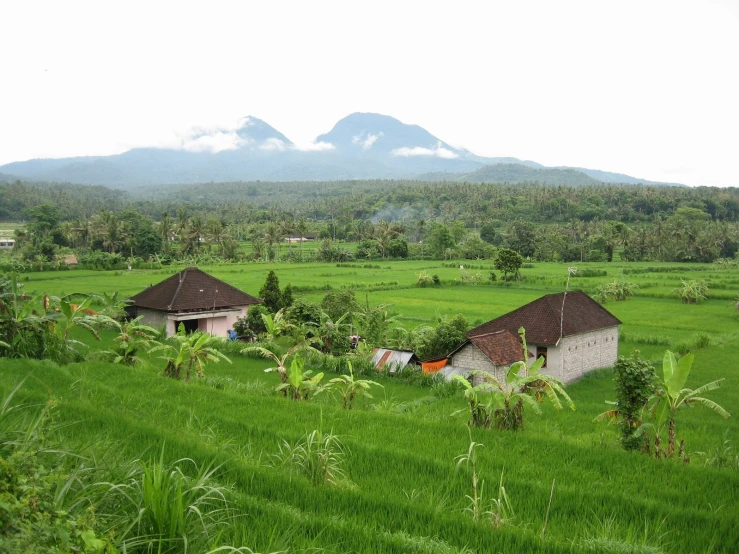 green fields with a house in the middle of it