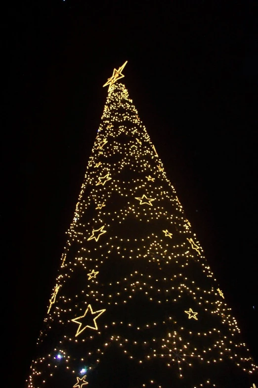 a lighted christmas tree at night with no decoration