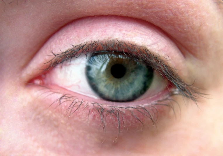 an adult eye with blue eyes and lashes