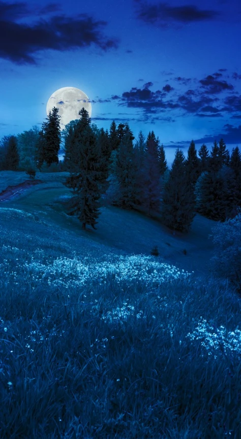 a full moon set over a hillside and trees