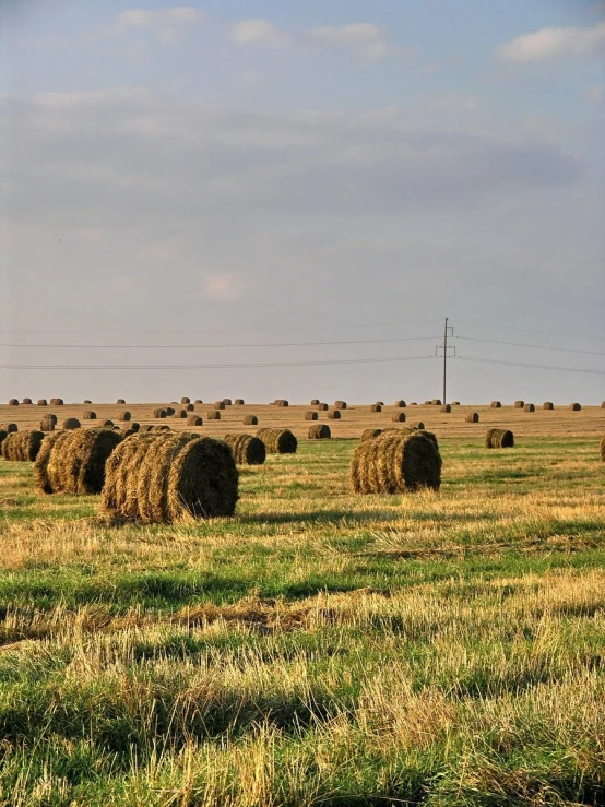 several large bales in the green field during the day