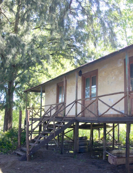 a wooden building in the middle of a lush green forest