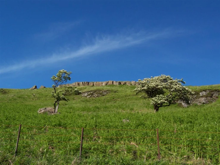 green grass and rock wall with barbed wire fence surrounding it