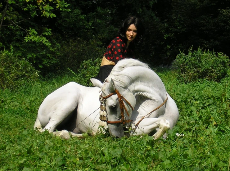 a man sitting on a white horse in the grass