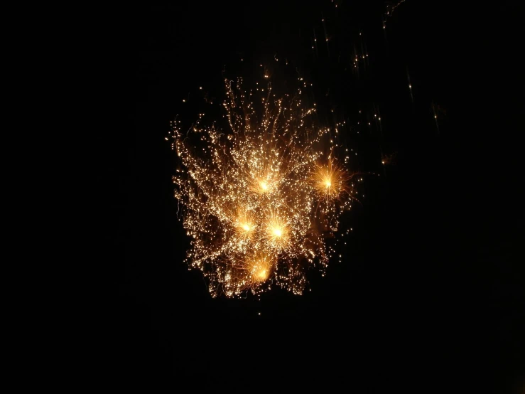 a fireworks display lit up in the sky