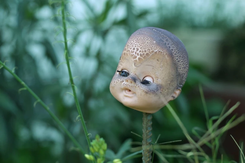 a doll with eyes closed sitting on top of a green plant