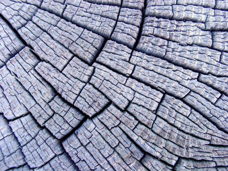 some very close up po of the wood
