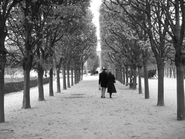 two people walk through the middle of trees