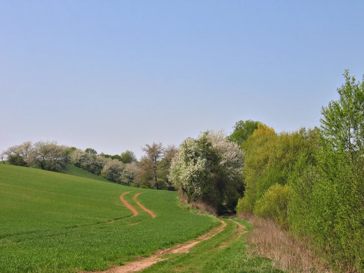 a trail is winding in the middle of an open field