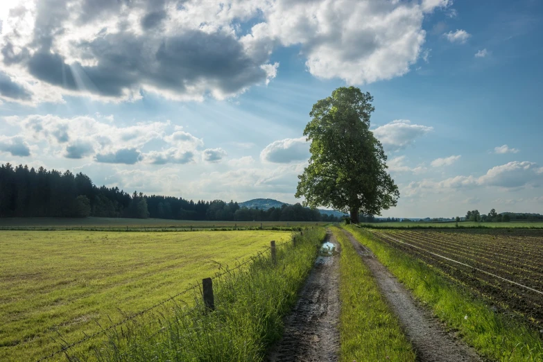 a dirt road that runs next to a field