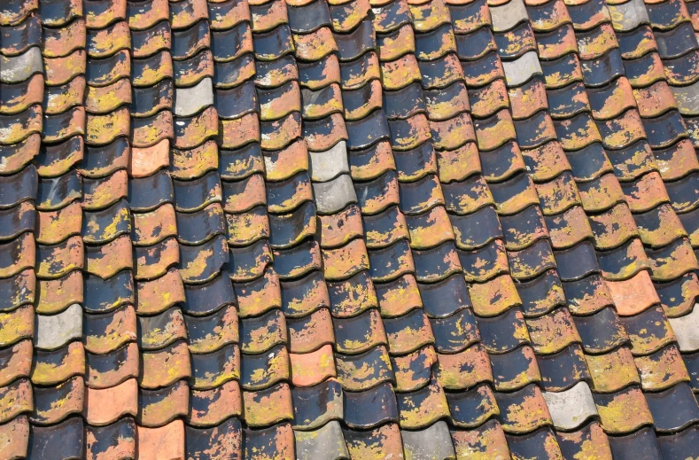 a roof that has been chipped with yellow and brown spots