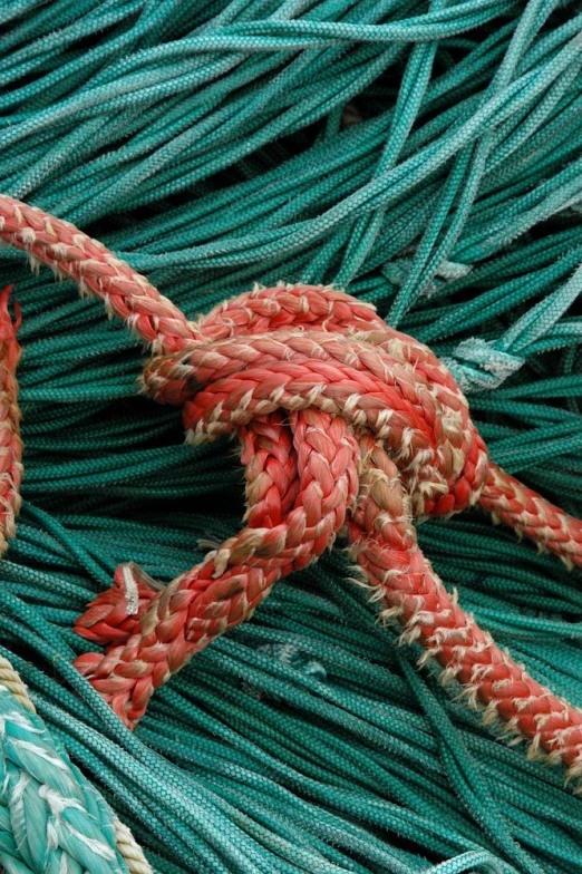 close up of a pile of ropes with multiple colors