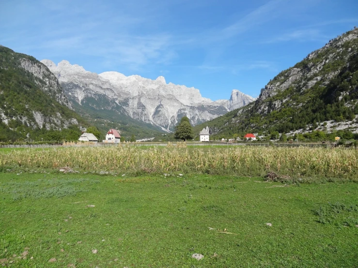 a grassy field in front of a mountainous landscape