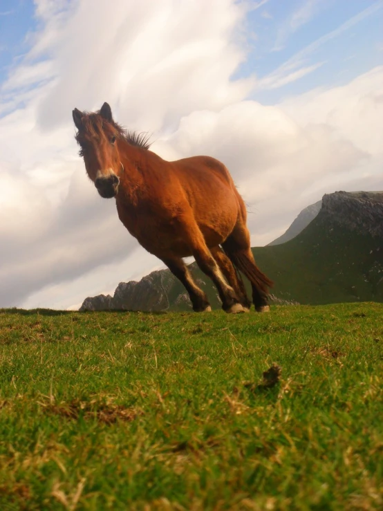 a horse is running across the field in front of some mountains