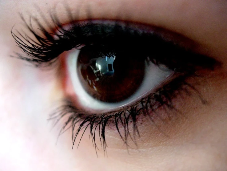 a persons eye showing black lashes and dark blue eyes