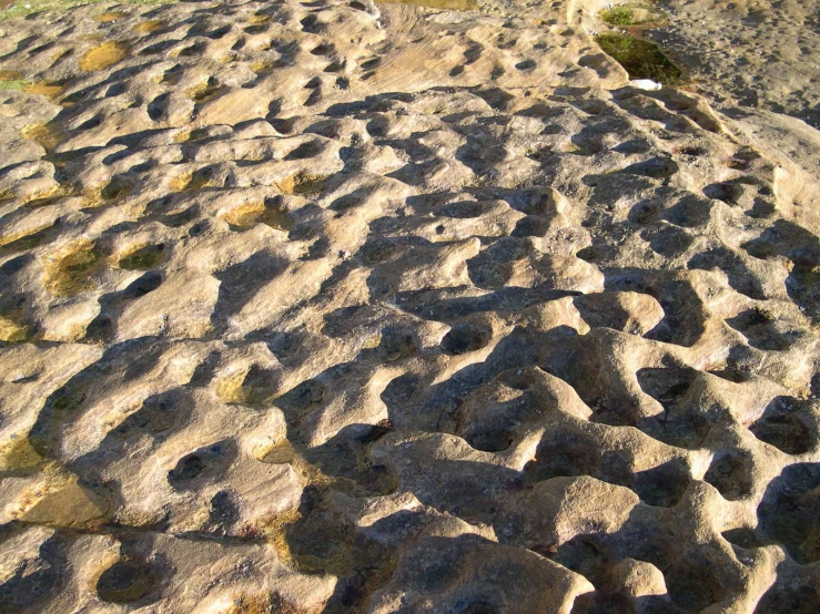 a sandy path with a stop sign on it