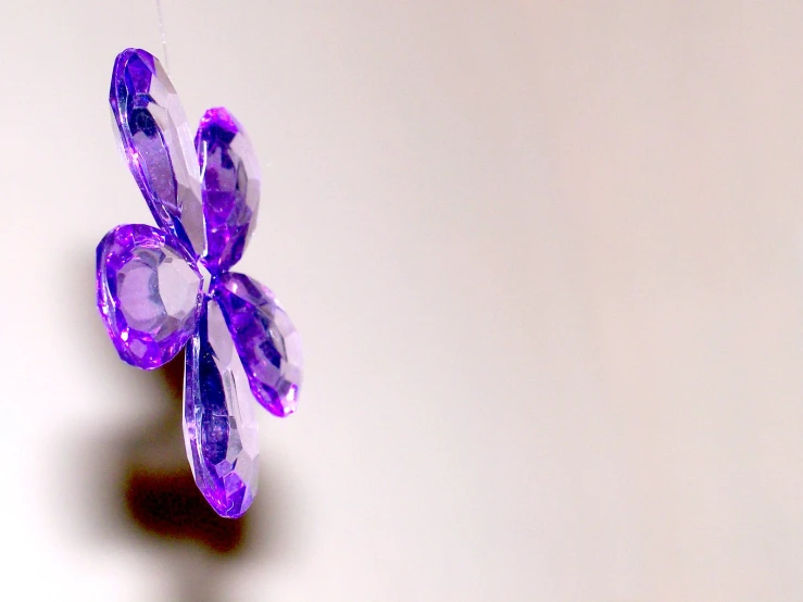 a purple flower with very large petals in the center