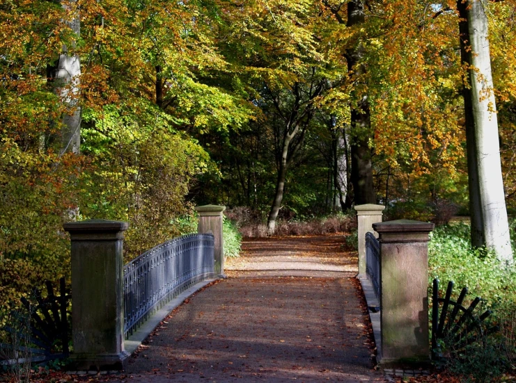 a walkway with some columns in the fall