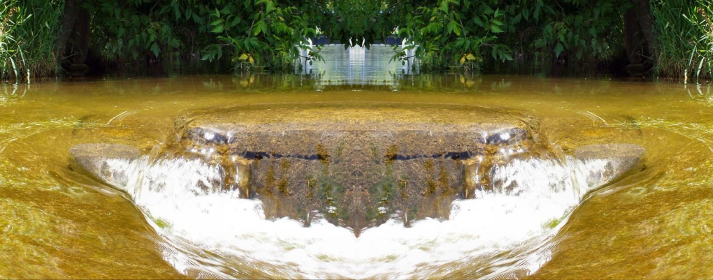 a beautiful garden reflecting in the water