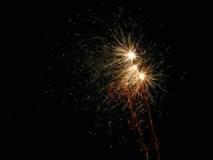 a single firework is being viewed from below