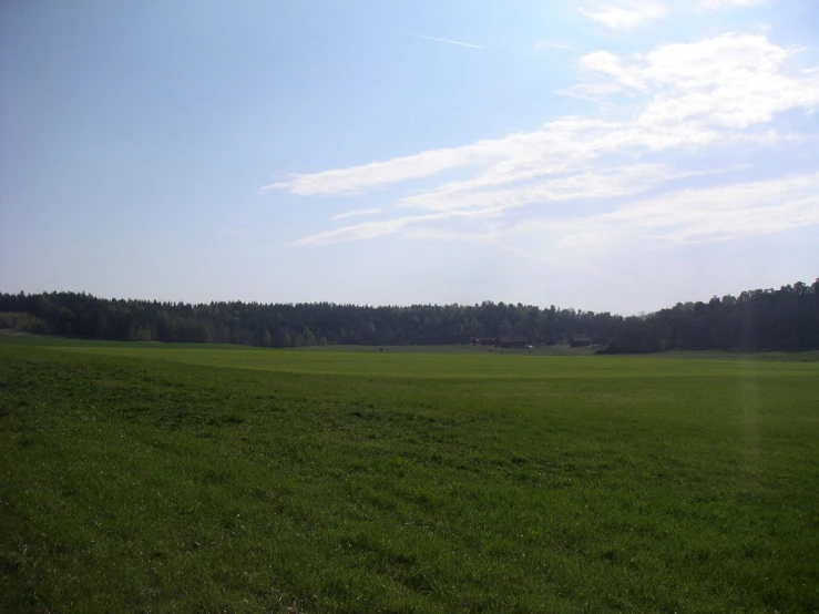 a big green field surrounded by trees under a blue sky