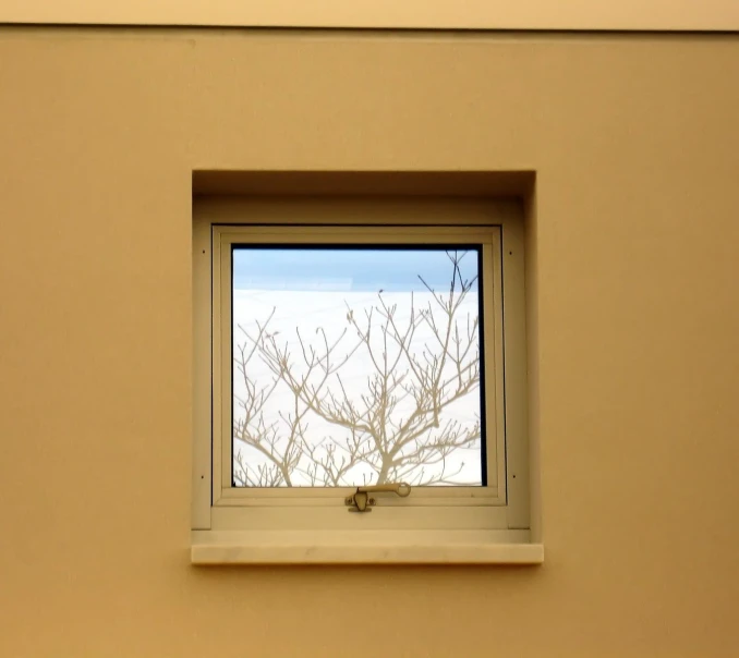 a white window with a tree and sky in the window sill