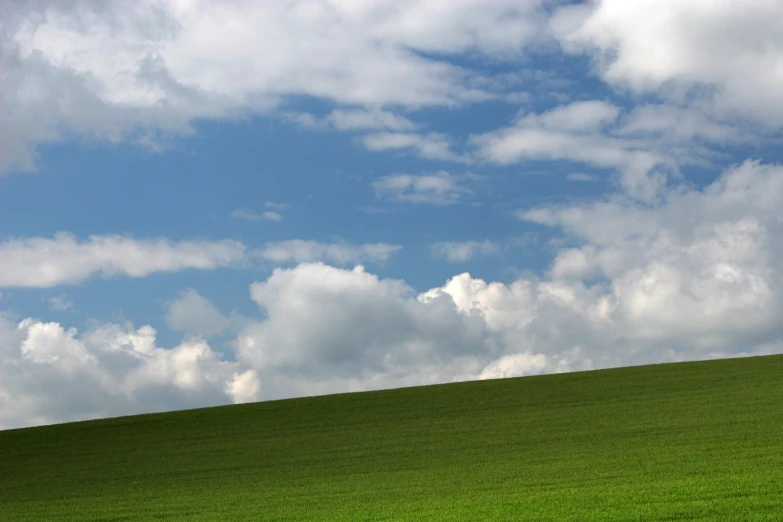 a cow walking across a lush green field under a blue sky