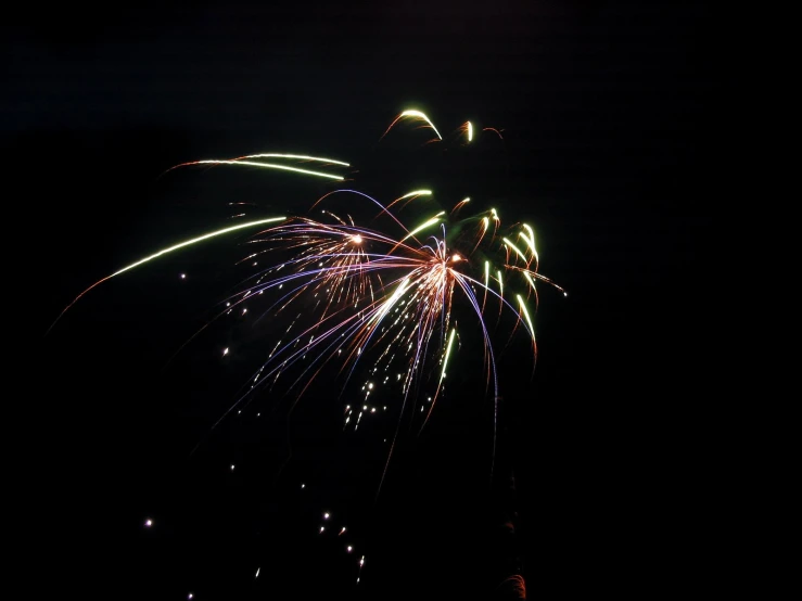 a big fireworks going up in the night sky