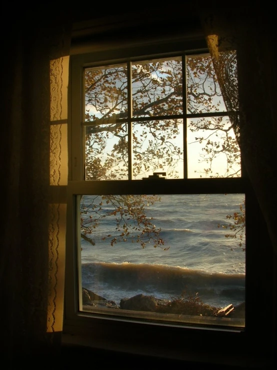 looking out a window onto water with trees in the distance