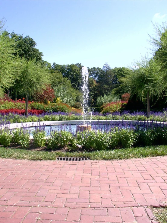 a pond in a park near a lawn