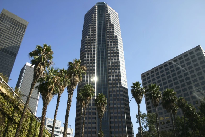 a tall building with palm trees surrounding it