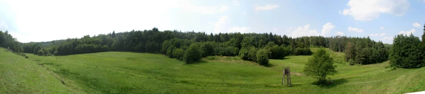 a po taken from the front of a vehicle looking at some trees